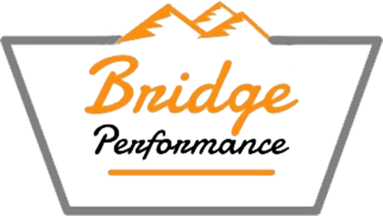 Bridge Performance Training logo